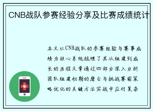 CNB战队参赛经验分享及比赛成绩统计