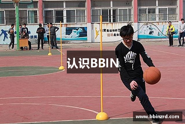 认识BBIN